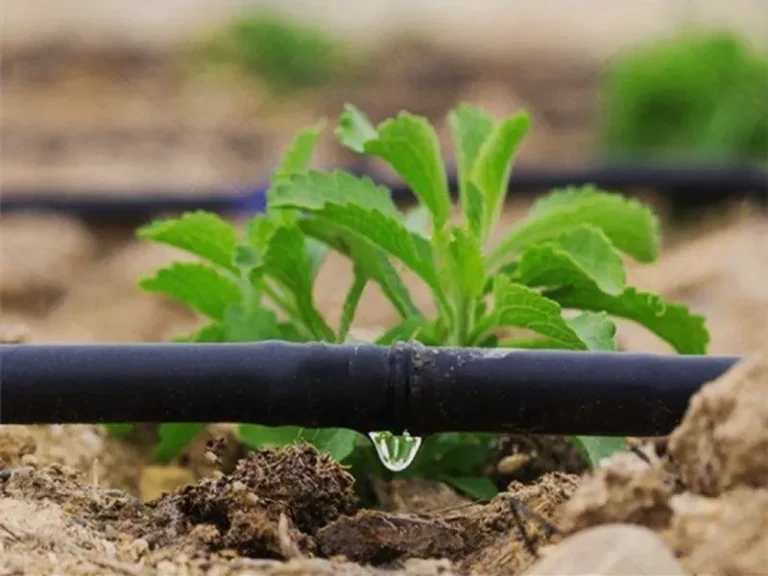 پلاکدار یا درزدار؟ راهنمای کامل انتخاب