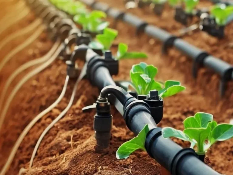 آبیاری قطره ای بدون پمپ