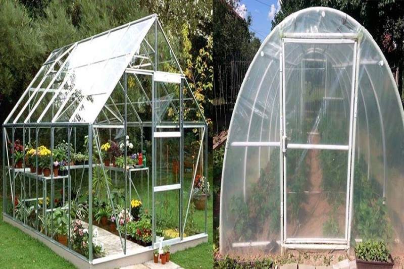 جمع‌بندی: گلخانه شیشه ای بهتر است یا پلاستیکی؟