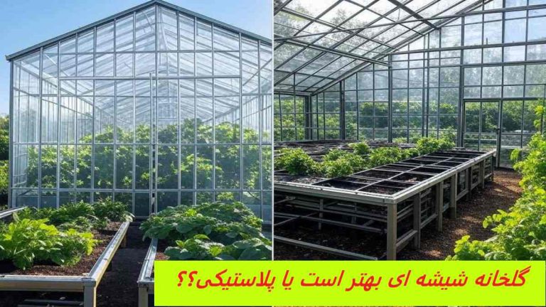 گلخانه شیشه ای بهتر است یا پلاستیکی