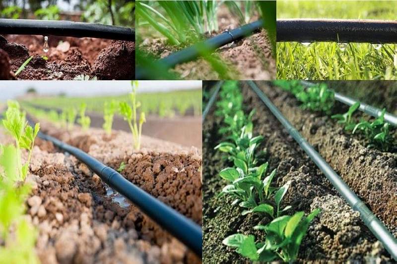 کاربردهای لولههای پلیاتیلن در کشاورزی مدرن