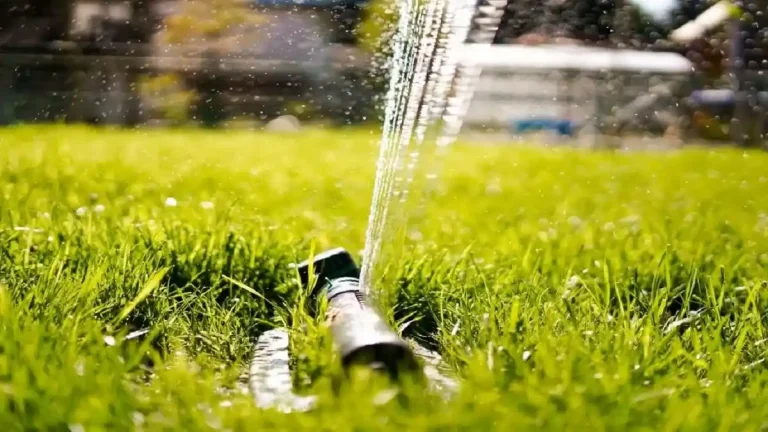 بهترین سیستم آبیاری برای فضای سبز کدام است؟