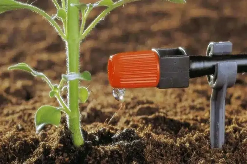 سیستم آبیاری قطره‌ای